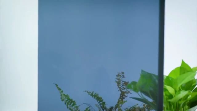 Светоотражающая плёнка для окна. Плёнка на окно блокирует уф-лучи с зеркальным отражением снаружи смотреть онлайн