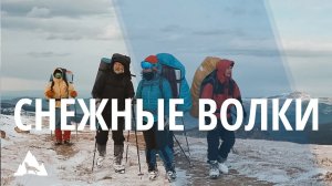 Настя Полева - Снежные волки