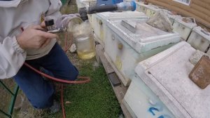 Первая обработка 2019 года. Пихтовое масло , холодный туман 23 января.