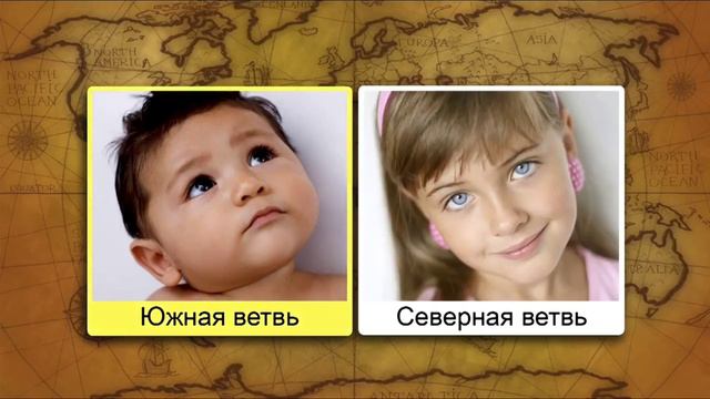 Расы и народы. смотреть онлайн