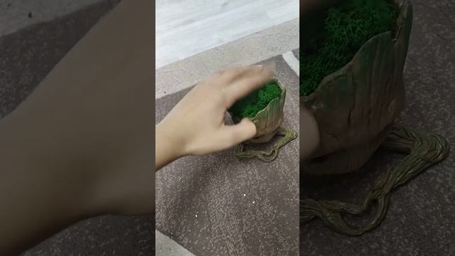 15 ноября 2022 г. смотреть онлайн