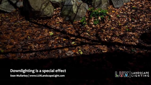 Landscape Lighting Design for Trees смотреть онлайн