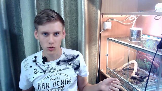 Заселяем ТЕТРОВ в мини-формикарий | Обзор и сборка МИНИКА смотреть онлайн