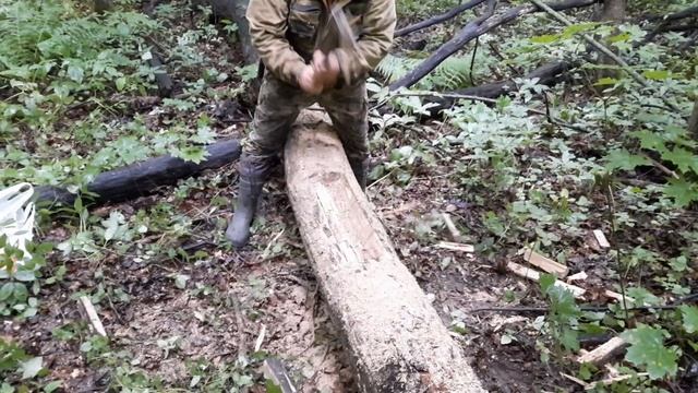 СОЛОНЦЫ в ЛЕСУ ДЛЯ ДИКИХ ЖИВОТНЫХ, САЛЯРКА ДЛЯ КАБАНА. смотреть онлайн