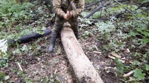 СОЛОНЦЫ в ЛЕСУ ДЛЯ ДИКИХ ЖИВОТНЫХ, САЛЯРКА ДЛЯ КАБАНА.