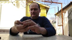 Крепкий орешек