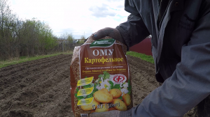 Посадка картофеля мотоблоком.