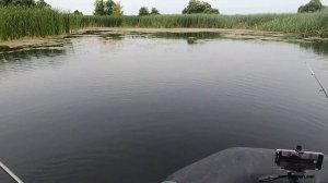 ЛОВЛЯ БОЛОТНОГО ЛИНЯ И КАРАСЯ ЛЕТОМ  ! РЫБАЛКА С ЛОДКИ НА ПОПЛАВОК .