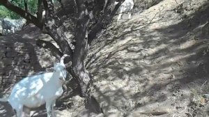 Отдых на Зуевском водохранилище