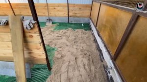 2 часть. Открытые вольеры для фазанов за Уралом.
