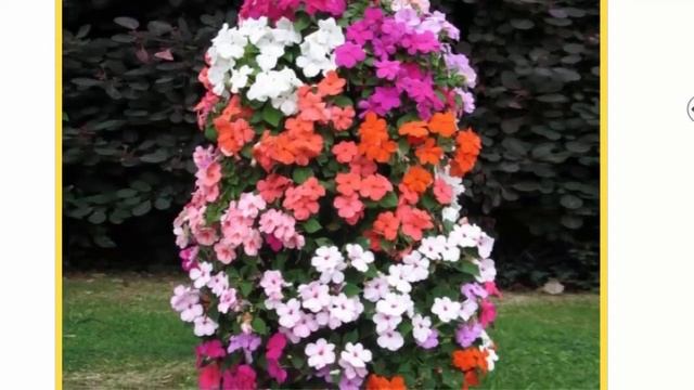 Схемы клумб Виды клумб и выбор места