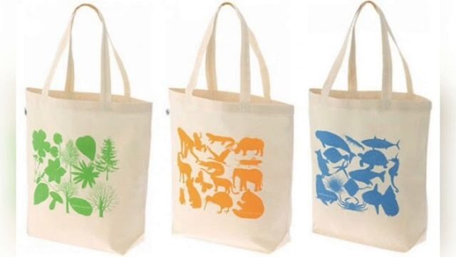 ПОЛИЭТИЛЕН ИЛИ ЭКО СУМКА? СДЕЛАЙ СВОЙ ВЫБОР! смотреть онлайн