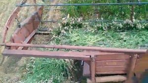 Жвн-6 косим эспарцет