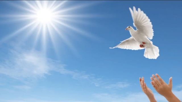 Стих СПЕШИТ ВЕСНА написан для народа, верного Богу, от Дубравина Святого смотреть онлайн