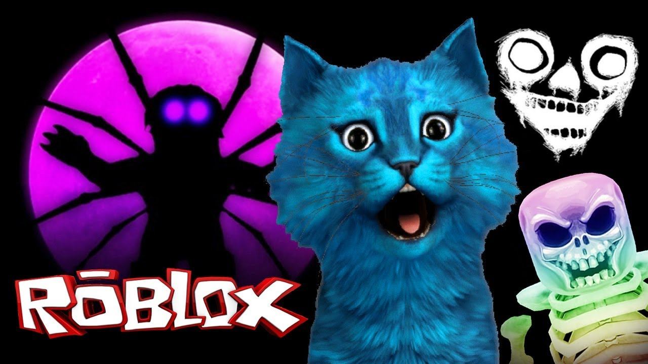 Котик в roblox. Котенок лайк страшилки. Котенок лайк в РОБЛОКСЕ. Котик РОБЛОКС. РОБЛОКС котенок.