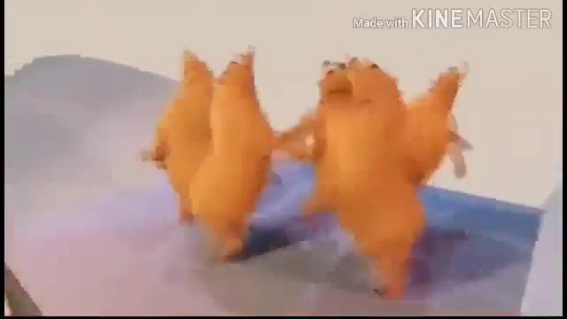 Танцующие Медведи ТАНЦУЮТ ПОД ЛЮБУЮ МУЗЫКУ