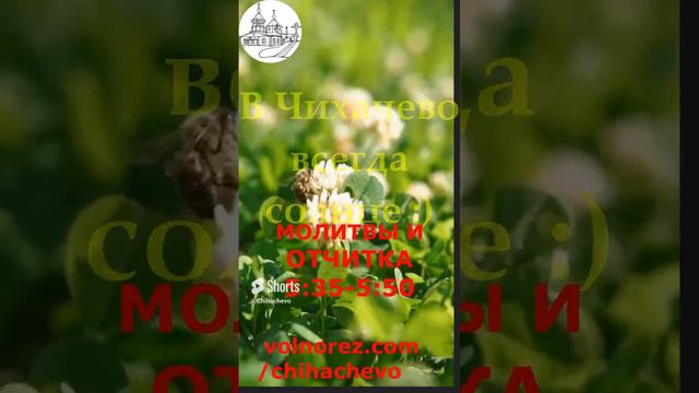 СЛУШАЙТЕ!!! Отец Иоанникий. Творческая студия Чихачево ютуб канал.volnorez.com_chihachevo #shorts