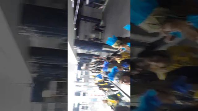 Бразилия Марокко смотреть онлайн