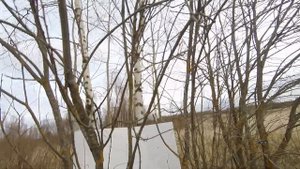 ОТСТРЕЛ ПУЛЬ-,СПУТНИК,СПУТНИК ПОДКАЛИБЕРНАЯ и другие из РУЖЬЯ (ЗИМСОН) 16 калибра.