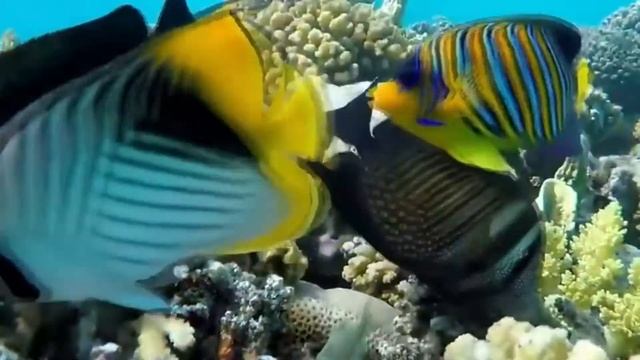 ПРИЯТНЫЕ ЗВУКИ ДЛЯ СНА И РАССЛАБЛЕНИЯ  ASMR SLEEP ?