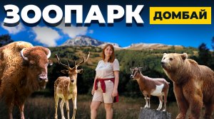 КЧР | ЗООПАРК В ТЕБЕРДЕ | ДОРОГА С ДОМБАЯ В АРХЫЗ | АРХЫЗ | ДЕНЬ С НАМИ