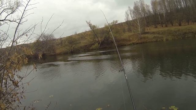 Ловля окуня на кракозябру