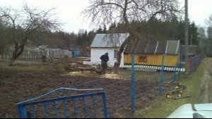 Готовим древесину яблони для поделок