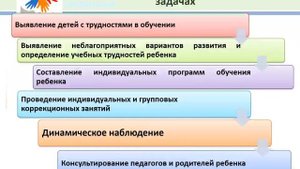содержание работы дефектолога