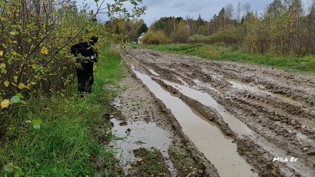 06.10.2023. Паломническая поездка архимандрита Иова (Муравьёва). Луза — Великий Устюг.