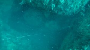 Трофейная подводная охота в черном море!