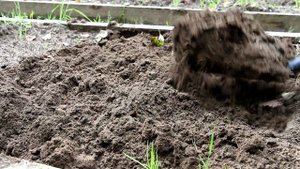 УДОБРЕНИЯ ОРГАНИЧЕСКИЕ И МИНЕРАЛЬНЫЕ. Урок№4