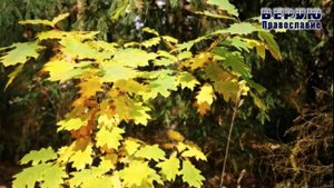 ✞ Всё будет хорошо. Доверься Богу - (Архимандрит Андрей Конанос)