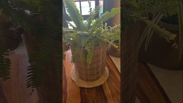 Diy planter | old mats to planter | sustainable diy | diy ideas | sustainable home decor смотреть онлайн