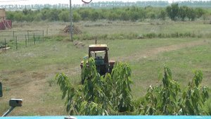 Кучугуры Голубая бухта