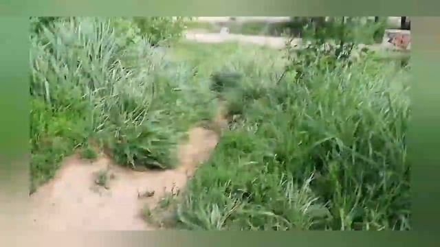 Эффективные УПРАЖНЕНИЯ на все тело. Дети и СПОРТ. Мукбанг на улице. Чипсы. смотреть онлайн