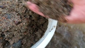 Я НАШЕЛ РЕКУ, УЖАС, СКОЛЬКО ТАМ БЫЛО ЗОЛОТА