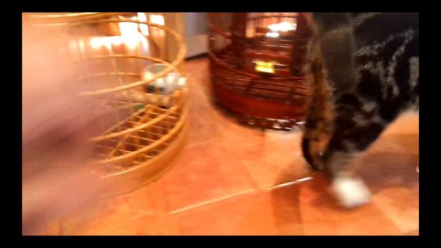 ЖОПА ТОЛСТАЯ КАК ПРОЛЕЗЛА?)) смотреть онлайн