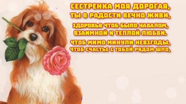 Видео - поздравления С Днем Рождения Сестры от Брата. Видео открытка на день рождения