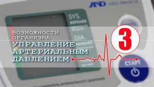 Сознательное управление артериальным давлением. Лекция 3. Центр практической психологии А.Арбузова