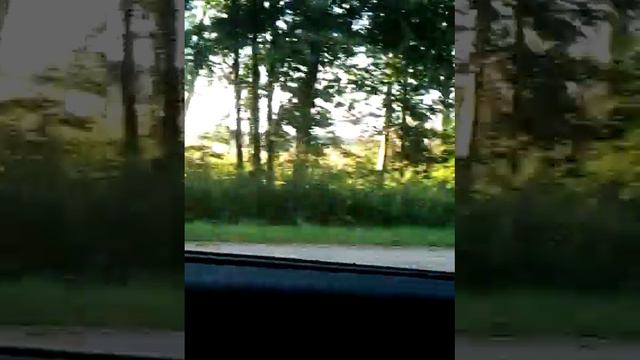 Мы поехали надачу смотреть онлайн