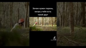 зачем нужен парень, когда у тебя есть такой друг