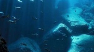 клип||проклятье русалки||13 карт||моё ау