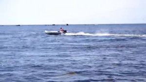 Лодка Адмирал 410 +Tohatsu18