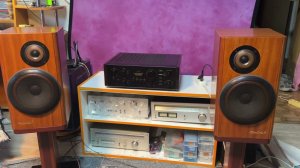 Колонки Victor sx 500 dolce II