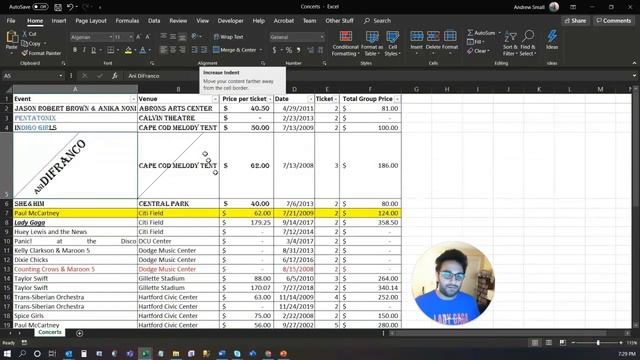 Excel Basics Lesson 03: Basic Formatting