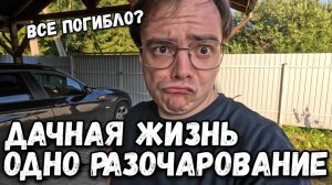 Дачная жизнь одно разочарование. Что случилось с моим садом на участке_ Дачный влог