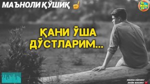 Кани уша дустларим