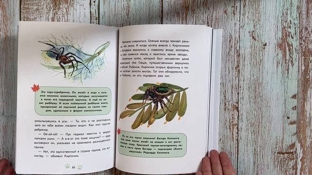 Продолжаю рассказывать о пауках и знакомлю с книжной новинкой смотреть онлайн