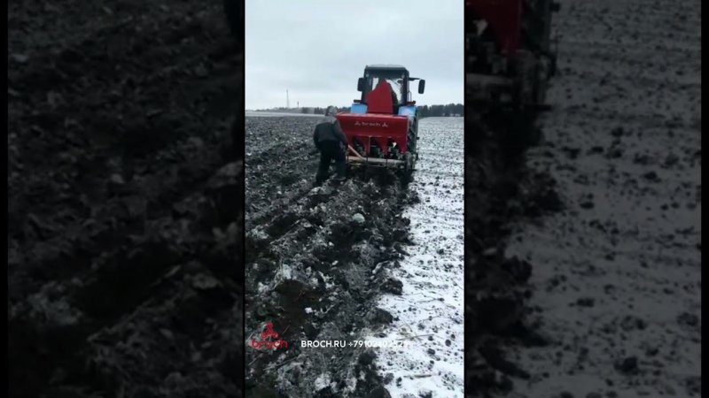 Высадка озимого чеснока JJBROCH сажалкой / planting winter garlic