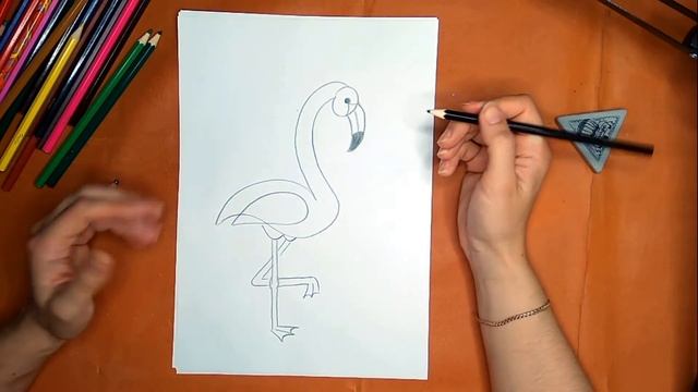 Как нарисовать фламинго карандашом. Онлайн-школа рисования "Малевашки"